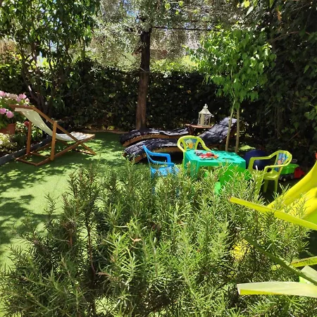 Ivanisevic Omiš