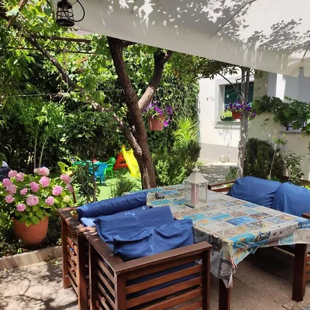 Ivanisevic 奥米什